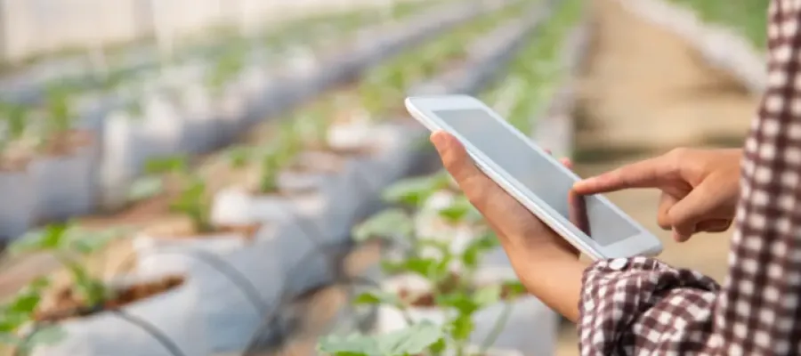 Vantagens de usar um caderno de campo digital na sua fazenda