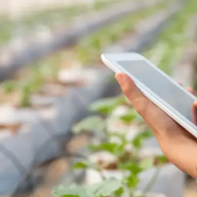 Vantagens de usar um caderno de campo digital na sua fazenda